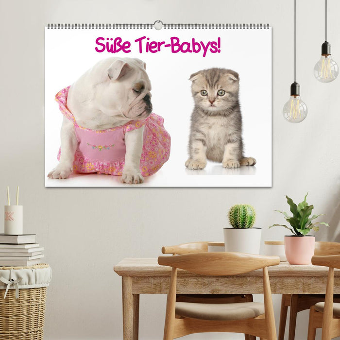 Süße Tier-Babys! (CALVENDO Wandkalender 2027)
