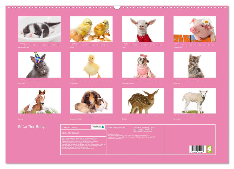 Süße Tier-Babys! (CALVENDO Wandkalender 2027)