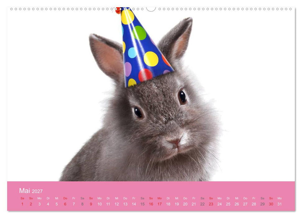 Süße Tier-Babys! (CALVENDO Wandkalender 2027)