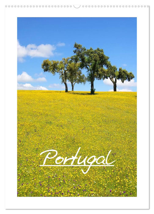 Portugal (CALVENDO Wandkalender 2027)
