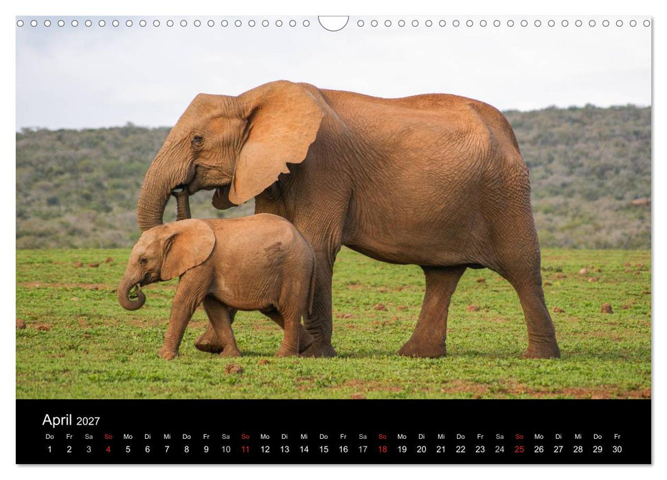 Faszinierendes Südafrika (CALVENDO Wandkalender 2027)