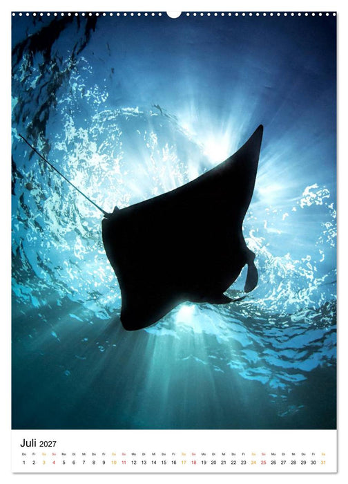 Ein Moment unter Wasser (CALVENDO Premium Wandkalender 2027)