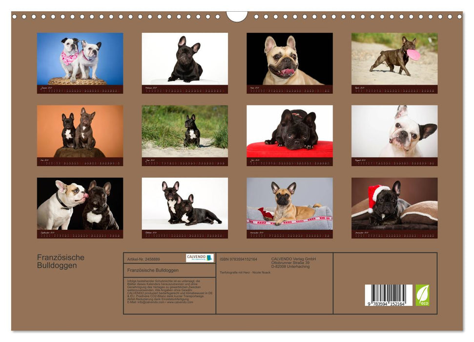 Französische Bulldoggen (CALVENDO Wandkalender 2027)