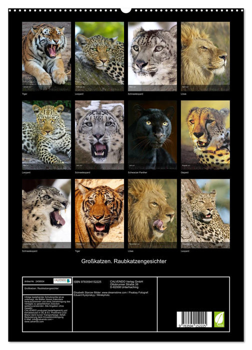 Großkatzen. Raubkatzengesichter (CALVENDO Premium Wandkalender 2027)