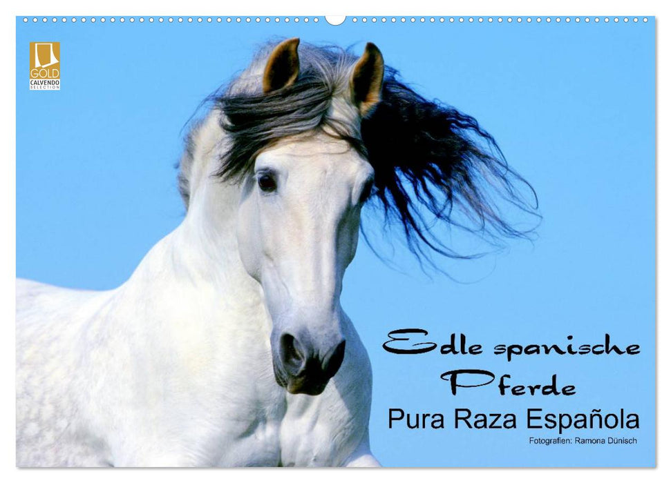 Edle spanische Pferde - Pura Raza Espanola (CALVENDO Wandkalender 2027)