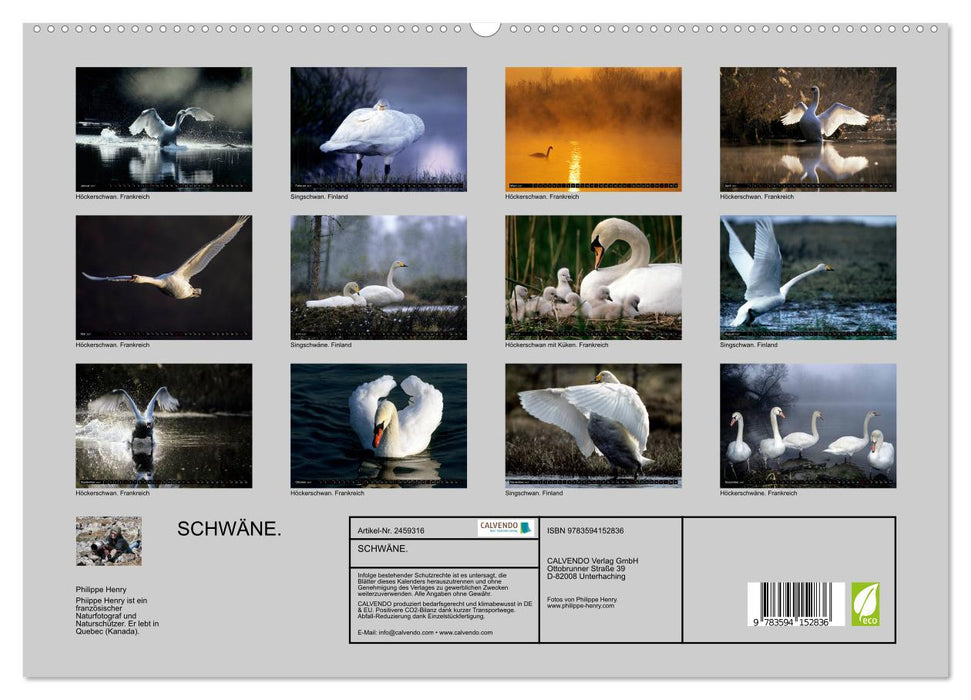 SCHWÄNE. (CALVENDO Premium Wandkalender 2027)