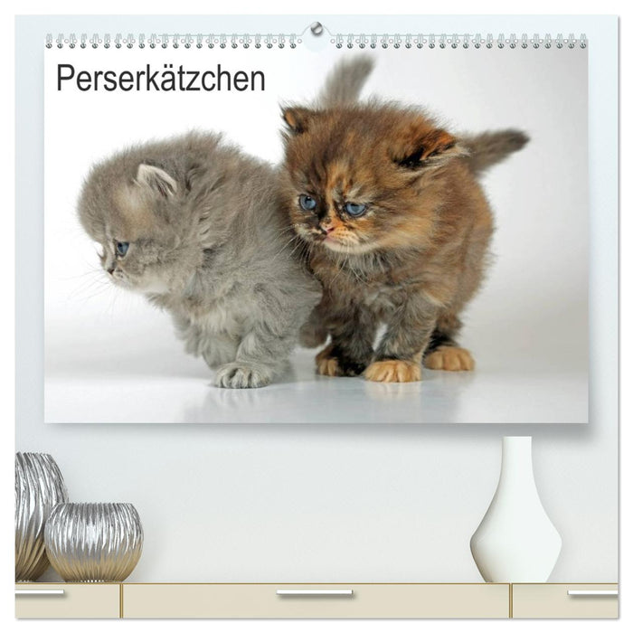 Perserkätzchen / CH-Version (CALVENDO Premium Wandkalender 2027)