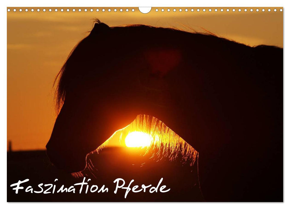 Faszination Pferde (CALVENDO Wandkalender 2027)