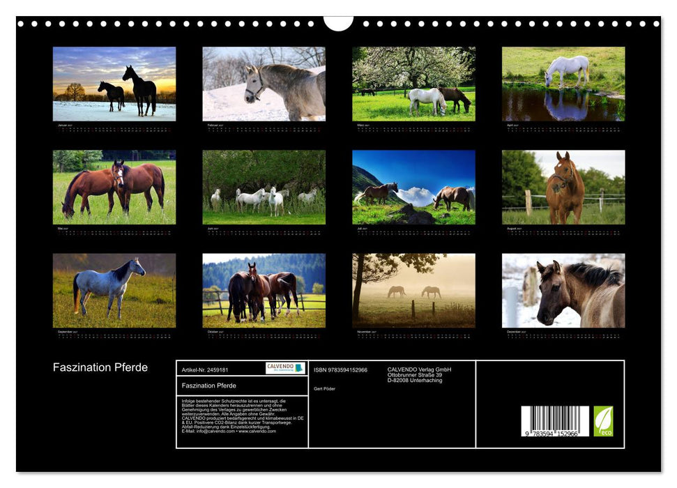Faszination Pferde (CALVENDO Wandkalender 2027)