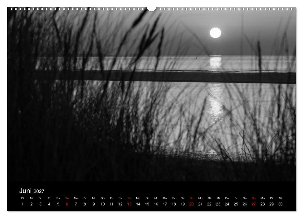 Das Licht in Schwarz und Weiß (CALVENDO Wandkalender 2027)