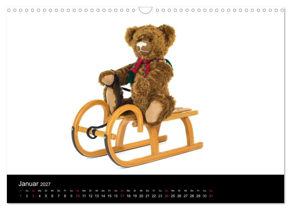 Martin Bären aus Sonneberg (CALVENDO Wandkalender 2027)