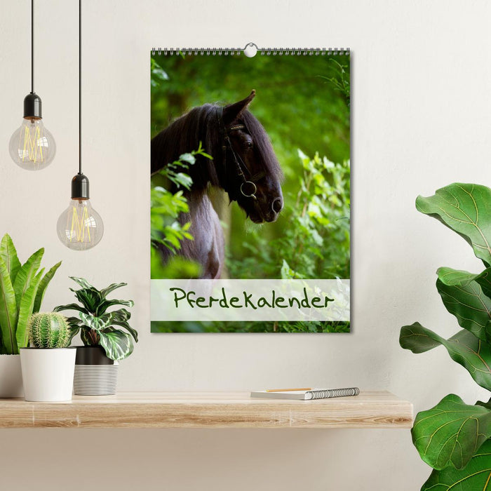 Pferdekalender (CALVENDO Wandkalender 2027)
