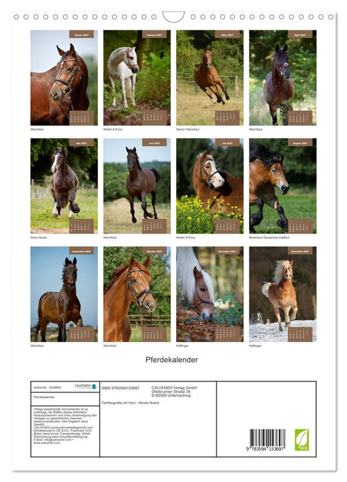 Pferdekalender (CALVENDO Wandkalender 2027)