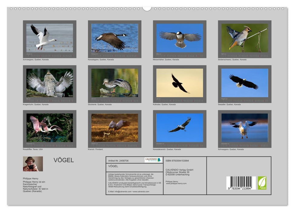 VÖGEL (CALVENDO Premium Wandkalender 2027)