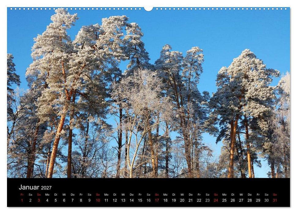 Jahreszeiten / 2027 (CALVENDO Premium Wandkalender 2027)