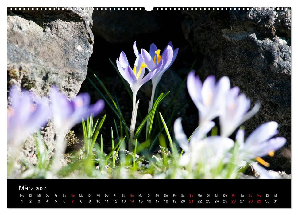 Jahreszeiten / 2027 (CALVENDO Premium Wandkalender 2027)