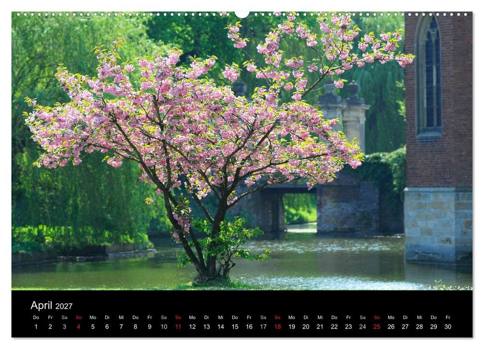 Jahreszeiten / 2027 (CALVENDO Premium Wandkalender 2027)