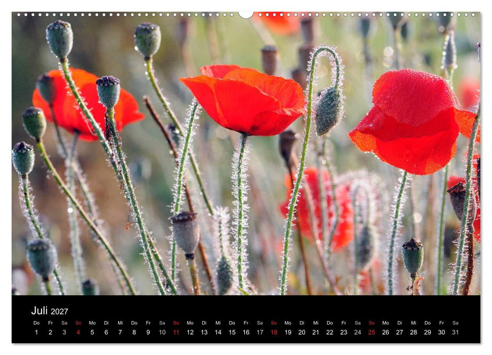 Jahreszeiten / 2027 (CALVENDO Premium Wandkalender 2027)