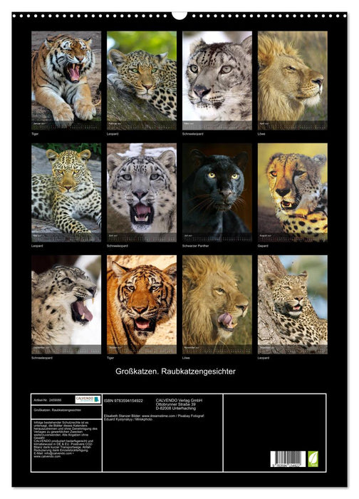 Großkatzen. Raubkatzengesichter (CALVENDO Wandkalender 2027)