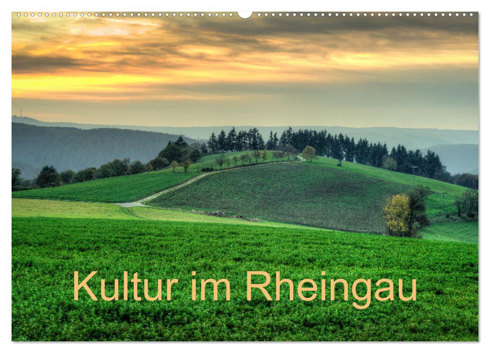 Kultur im Rheingau (CALVENDO Wandkalender 2027)