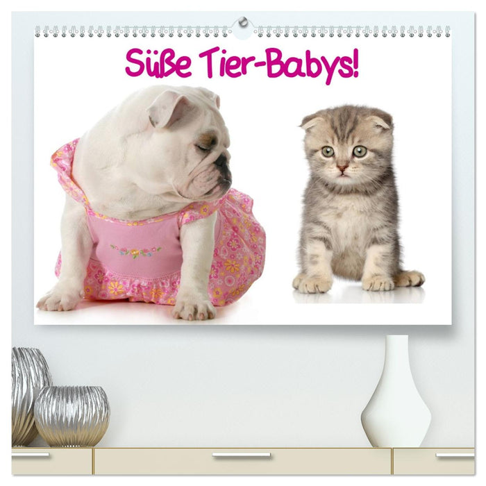 Süße Tier-Babys! (CALVENDO Premium Wandkalender 2027)