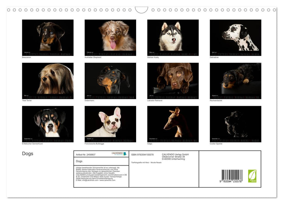 Dogs (CALVENDO Wandkalender 2027)
