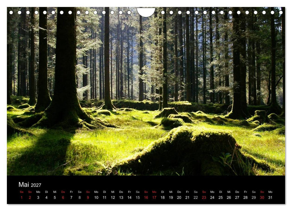 Irland County Cork (CALVENDO Wandkalender 2027)