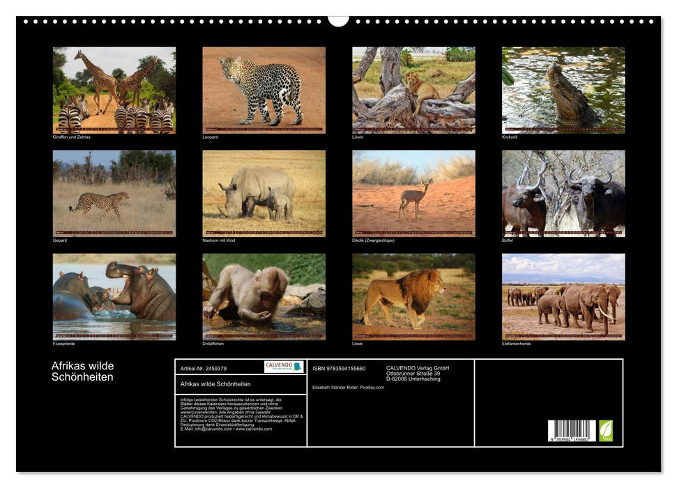 Afrikas wilde Schönheiten (CALVENDO Wandkalender 2027)