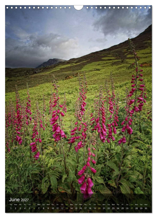 Beautiful Scotland / UK-Version (CALVENDO Monthly Calendar 2027)