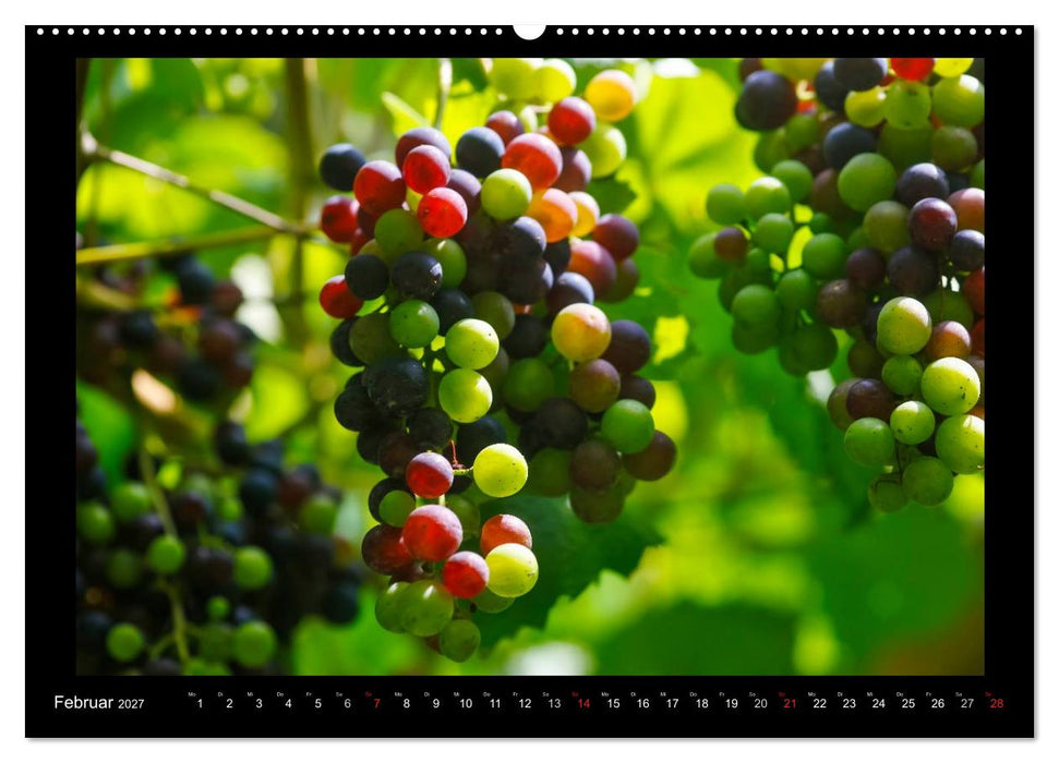 Wein (CALVENDO Premium Wandkalender 2027)
