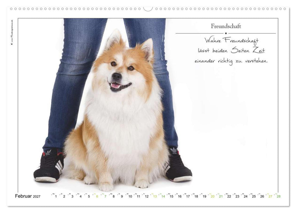 Hunde-Spruchreif (CALVENDO Premium Wandkalender 2027)