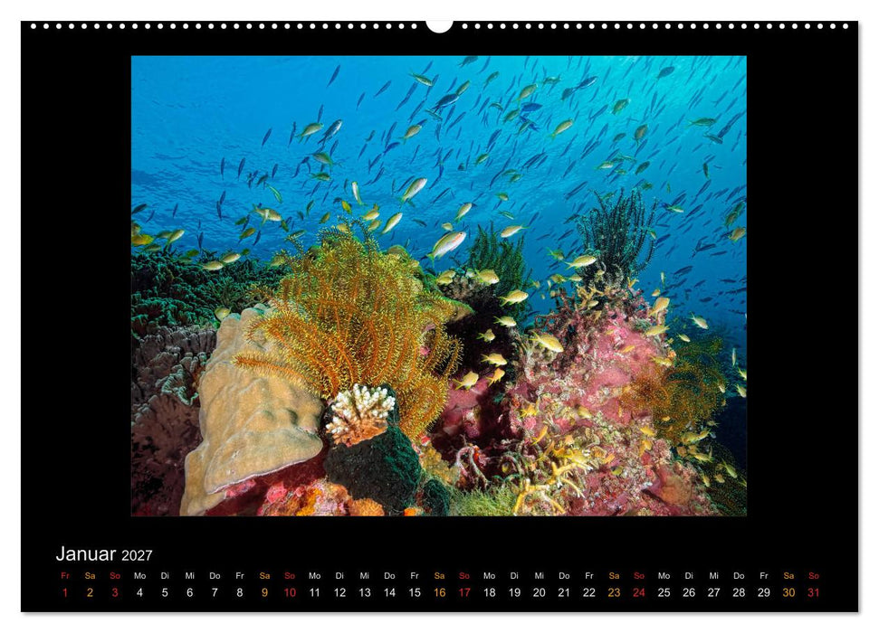 OCEAN - ART (CALVENDO Premium Wandkalender 2027)