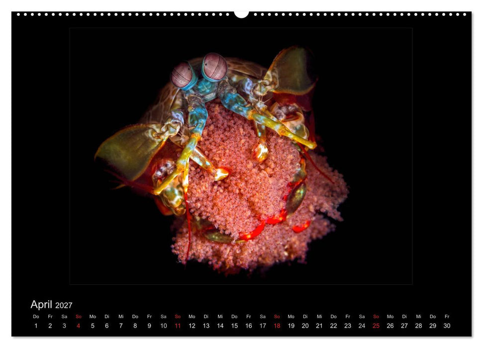 OCEAN - ART (CALVENDO Premium Wandkalender 2027)