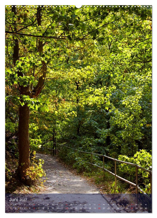 Wildes Bodetal (CALVENDO Wandkalender 2027)