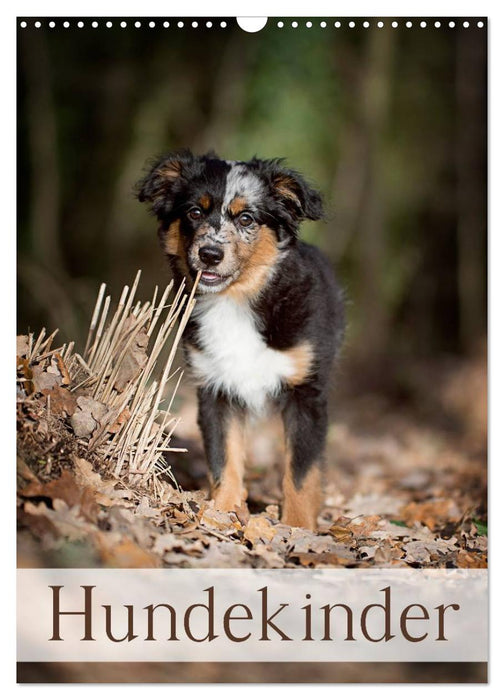 Hundekinder (CALVENDO Wandkalender 2027)