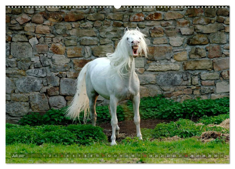 Edle spanische Pferde - Pura Raza Espanola (CALVENDO Premium Wandkalender 2027)
