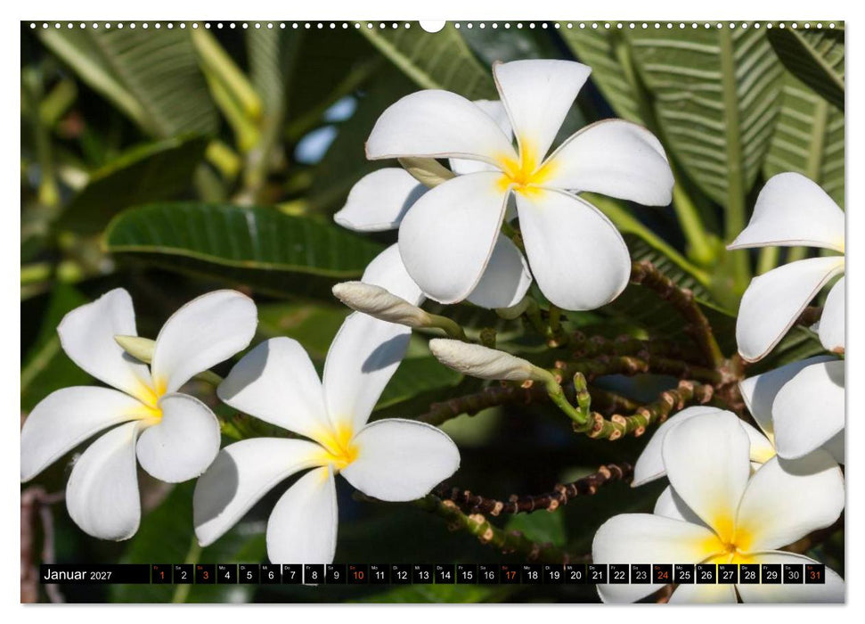 Hawai'i - Teil 1 (CALVENDO Wandkalender 2027)