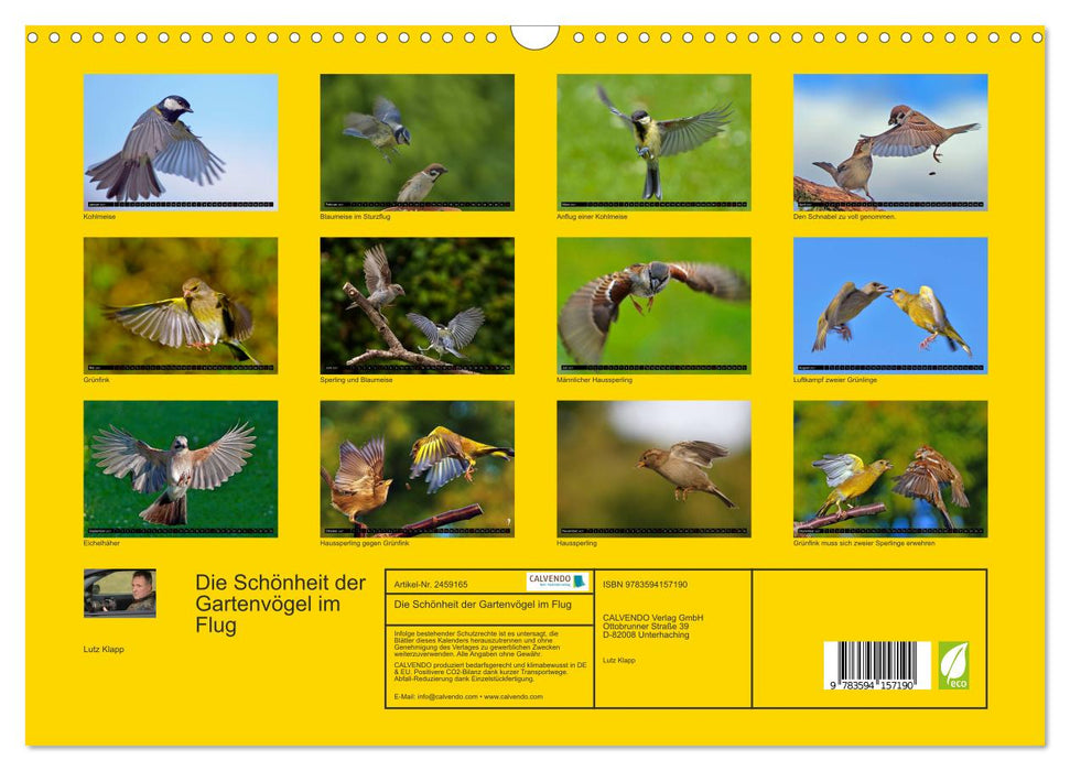 Die Schönheit der Gartenvögel im Flug (CALVENDO Wandkalender 2027)