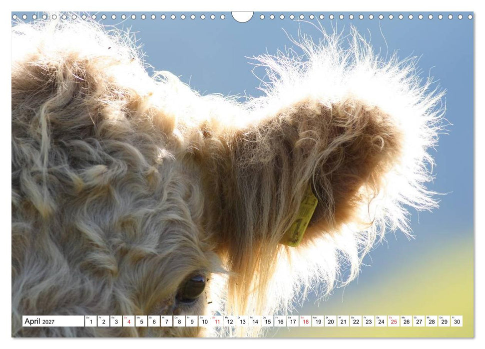 Unteremmental (CALVENDO Wandkalender 2027)