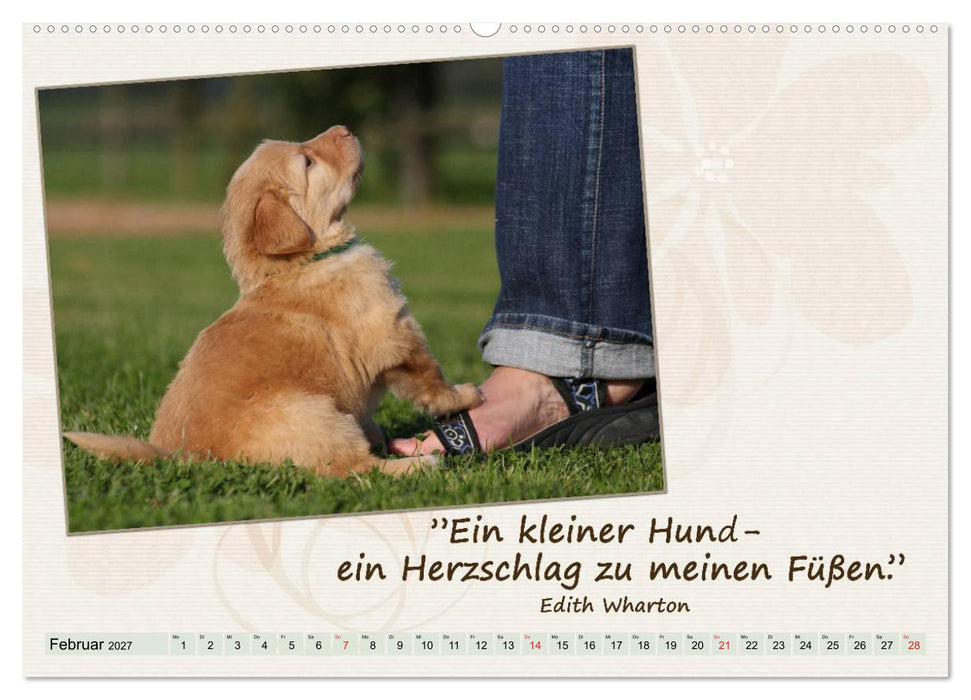 Mit Hundezitaten gut durchs Jahr / CH-Version (CALVENDO Wandkalender 2027)