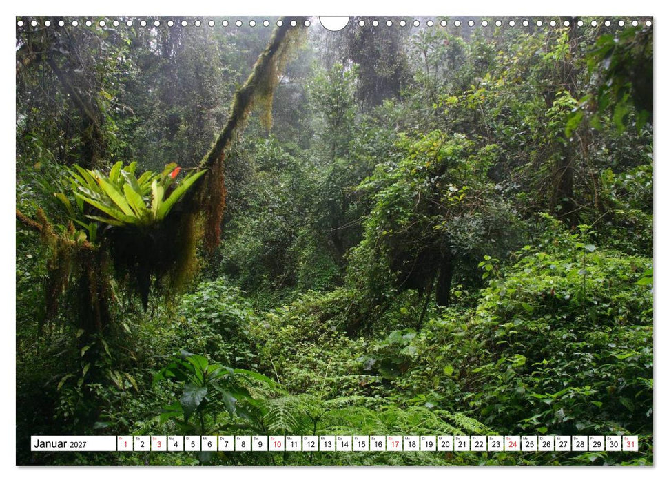 Madagaskar (CALVENDO Wandkalender 2027)