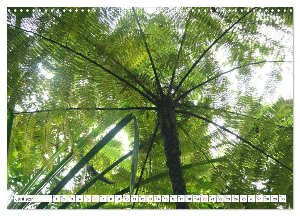 Madagaskar (CALVENDO Wandkalender 2027)