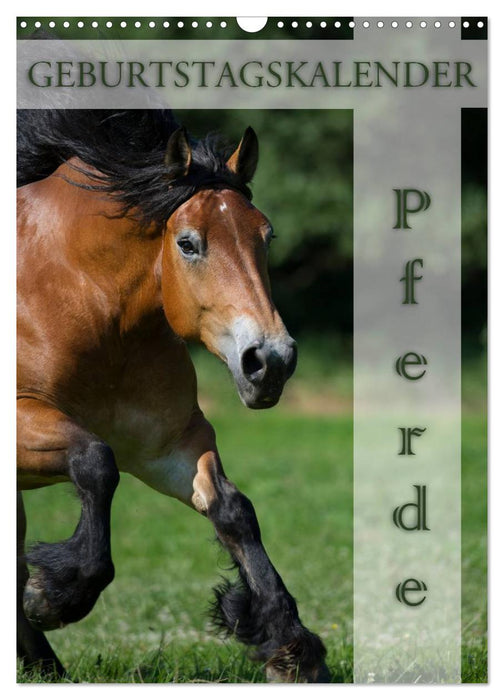 Pferde / Planer (CALVENDO Wandkalender 2027)