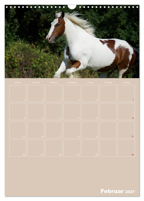 Pferde / Planer (CALVENDO Wandkalender 2027)