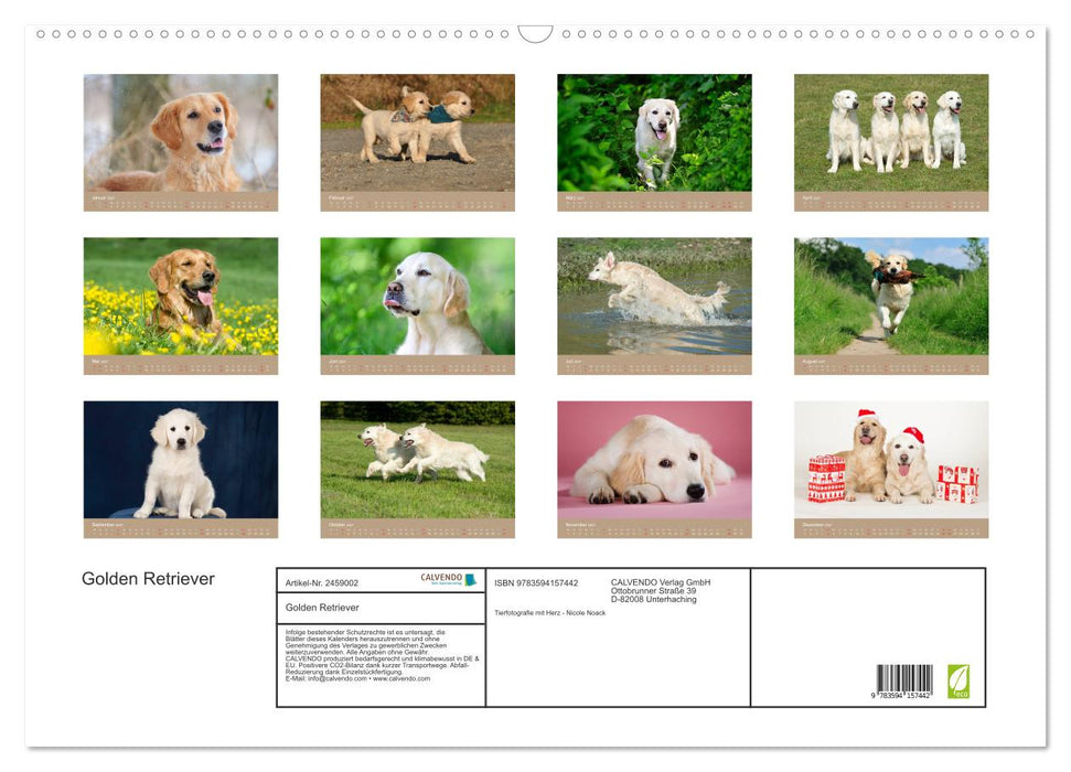 Golden Retriever (CALVENDO Wandkalender 2027)