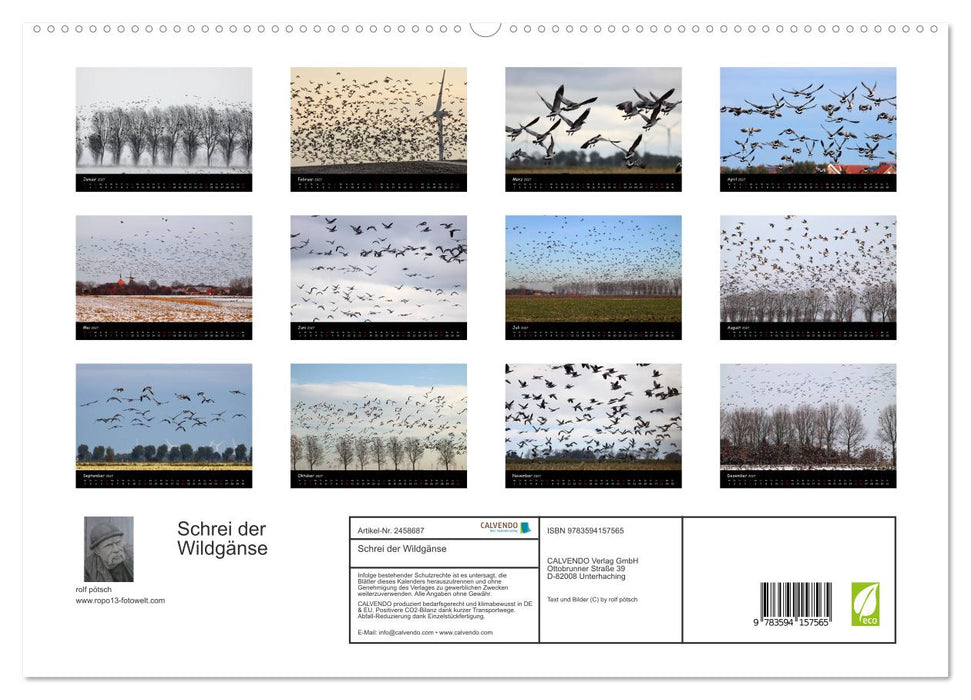 Schrei der Wildgänse (CALVENDO Premium Wandkalender 2027)