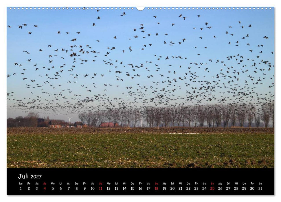Schrei der Wildgänse (CALVENDO Premium Wandkalender 2027)