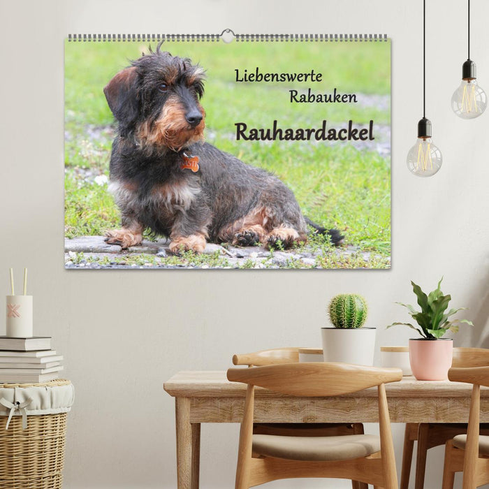 Liebenswerte Rabauken Rauhaardackel / CH-Version (CALVENDO Wandkalender 2027)