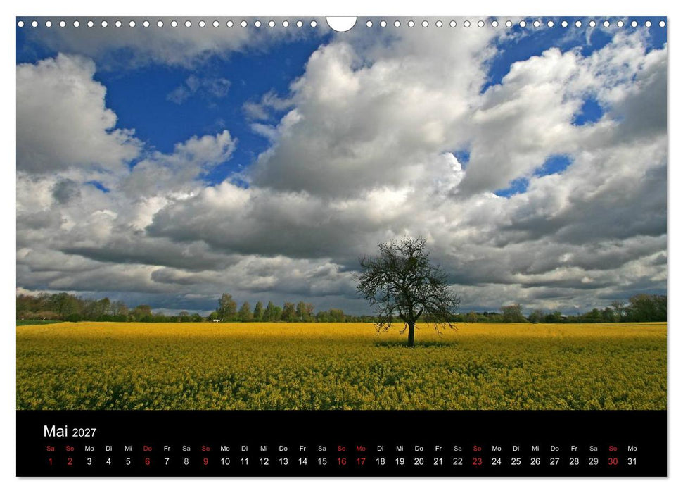 Mein Ortenaukalender 2027 (CALVENDO Wandkalender 2027)