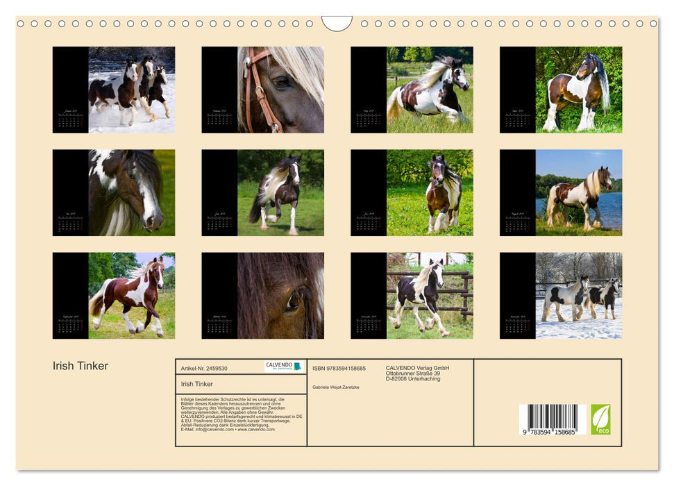 Irish Tinker (CALVENDO Wandkalender 2027)